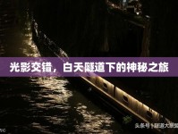 光影交錯(cuò)，白天隧道下的神秘之旅