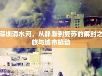 深圳清水河，從靜默到復(fù)蘇的解封之旅與城市脈動