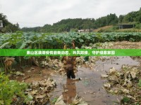 惠山區(qū)藕塘疫情最新動態(tài)，共筑防線，守護(hù)綠意家園