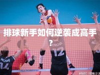 排球新手如何逆襲成高手？