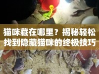 貓咪藏在哪里？揭秘輕松找到隱藏貓咪的終極技巧！