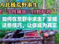 如何在荒野中求生？掌握這些技巧，讓你成為真正的生存大師！