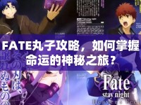 FATE丸子攻略，如何掌握命運(yùn)的神秘之旅？