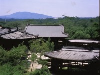 誅仙手游，充值福利全解析，尊享特權(quán)，你怎能錯(cuò)過？