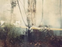 夢幻手游雙平臺入口究竟在哪？3步秒進技巧全公開！，用究竟強化懸念感，數字3步暗示操作簡單，秒進全公開制造迫切閱讀欲，保持游戲術語雙平臺精準性，（如果需要更側重其他角度，可以再補充調整方向）