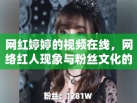 網(wǎng)紅婷婷的視頻在線，網(wǎng)絡(luò)紅人現(xiàn)象與粉絲文化的探討