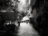 神武手游，等級門檻如何完美融合收徒藝術？
