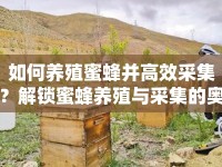 如何養(yǎng)殖蜜蜂并高效采集？解鎖蜜蜂養(yǎng)殖與采集的奧秘