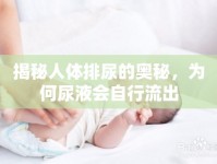 揭秘人體排尿的奧秘，為何尿液會自行流出