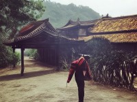 寵物發(fā)光點亮修仙之旅，尋仙手游寵物有何神奇之處？