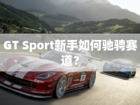 GT Sport新手如何馳騁賽道？