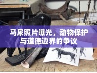 馬尿照片曝光，動(dòng)物保護(hù)與道德邊界的爭(zhēng)議