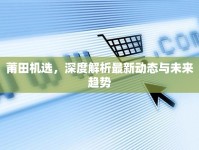 莆田機(jī)選，深度解析最新動(dòng)態(tài)與未來(lái)趨勢(shì)