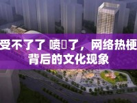 受不了了 噴氺了，網絡熱梗背后的文化現(xiàn)象