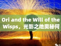 Ori and the Will of the Wisps，光影之地奧秘何在？