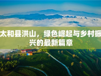 太和縣洪山，綠色崛起與鄉(xiāng)村振興的最新篇章