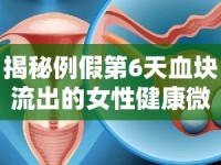 揭秘例假第6天血塊流出的女性健康微妙信號(hào)
