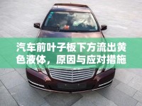 汽車前葉子板下方流出黃色液體，原因與應(yīng)對措施