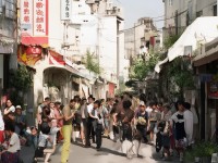 達(dá)爾文進(jìn)化島手游如何突破極限？輔助工具助你解鎖新境界！
