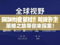 貓咪也愛(ài)冒險(xiǎn)？雙管齊下策略之旅等你來(lái)探索！