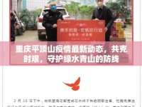 重慶平頂山疫情最新動(dòng)態(tài)，共克時(shí)艱，守護(hù)綠水青山的防線