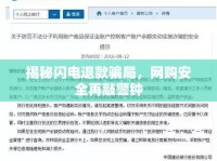 揭秘閃電退款騙局，網(wǎng)購安全再敲警鐘