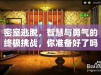 密室逃脫，智慧與勇氣的終極挑戰(zhàn)，你準(zhǔn)備好了嗎？