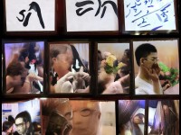 夢幻手游潛能果屬性，如何解鎖角色無限可能？