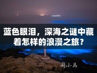 藍(lán)色眼淚，深海之謎中藏著怎樣的浪漫之旅？