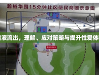 射精后精液流出，理解、應(yīng)對(duì)策略與提升性愛(ài)體驗(yàn)的技巧