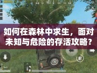 如何在森林中求生，面對(duì)未知與危險(xiǎn)的存活攻略？