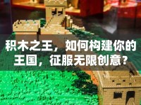 積木之王，如何構(gòu)建你的王國(guó)，征服無(wú)限創(chuàng)意？