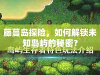 藤蔓島探險(xiǎn)，如何解鎖未知島嶼的秘密？