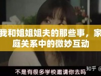 我和姐姐姐夫的那些事，家庭關(guān)系中的微妙互動(dòng)