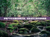 伊春戶外女主播的綠色之旅，探索自然之美的獨特視角