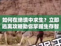 如何在絕境中求生？立即逃離攻略助你掌握生存智慧！