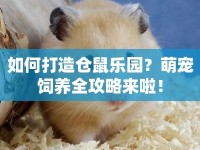 如何打造倉(cāng)鼠樂園？萌寵飼養(yǎng)全攻略來啦！