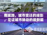 鹿城路，城市變遷的縮影，見(jiàn)證城市脈動(dòng)的最新篇章