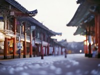 仙境奇緣，等你來探索！唯美仙俠雙修手游，共赴浪漫之旅