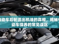 電動車后輪流出機油的真相，揭秘電動車保養(yǎng)的常見誤區(qū)