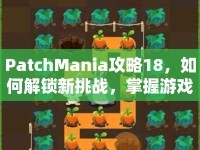 PatchMania攻略18，如何解鎖新挑戰(zhàn)，掌握游戲精髓？