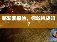 臨淵洞探險(xiǎn)，你敢挑戰(zhàn)嗎？