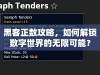 黑客正數(shù)攻略，如何解鎖數(shù)字世界的無限可能？