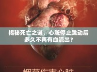 揭秘死亡之謎，心臟停止跳動(dòng)后多久不再有血流出？