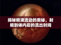 揭秘精液流動(dòng)的奧秘，射精到體內(nèi)后的流出時(shí)間