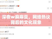 深夜w麻麻豆，網(wǎng)絡(luò)熱議背后的文化現(xiàn)象