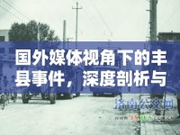 國外媒體視角下的豐縣事件，深度剖析與反思