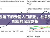 多維視角下的云南人口流出，社會(huì)變遷與挑戰(zhàn)的深度剖析