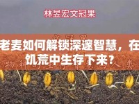 老麥如何解鎖深邃智慧，在饑荒中生存下來？
