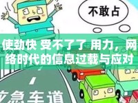 使勁快 受不了了 用力，網(wǎng)絡(luò)時(shí)代的信息過(guò)載與應(yīng)對(duì)之道